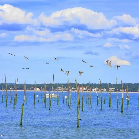 Studio, Vue Sur Port De Plaisance Appartement Arcachon